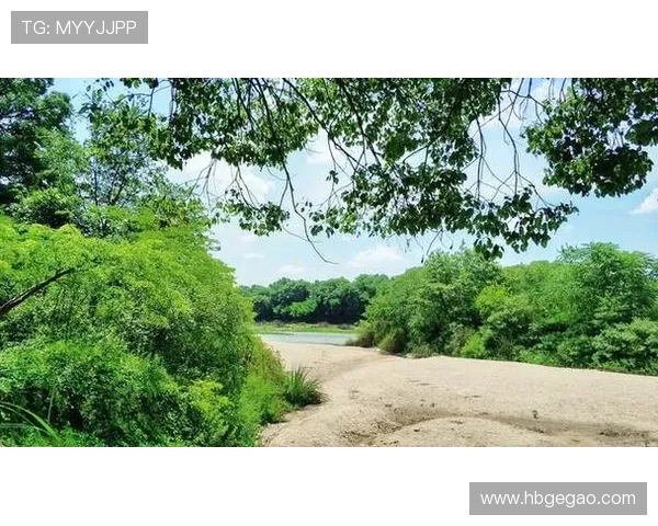 神秘河:4个未解之谜,99%的人都猜错了结局 神秘河:4个未解之谜,99%的人都猜错了结局